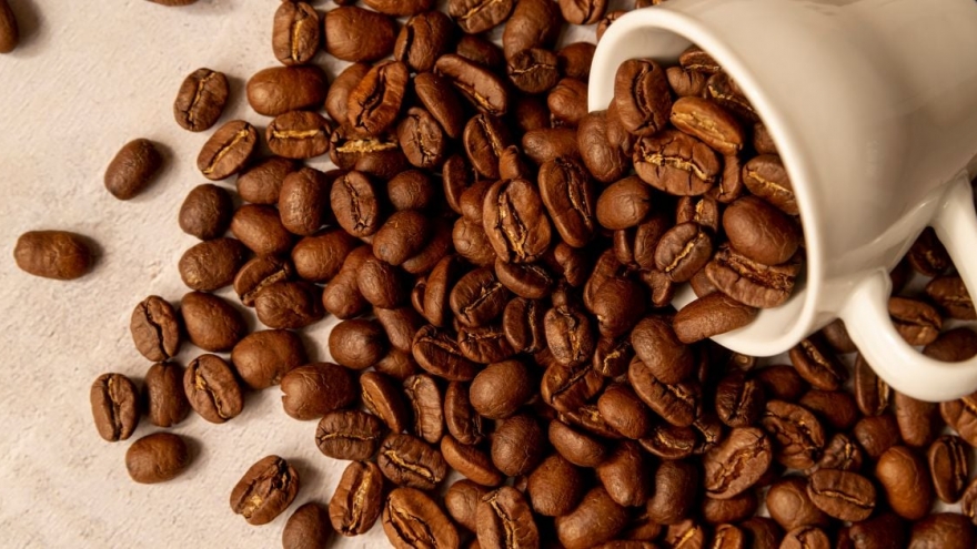 Giá cà phê hôm nay 4/10: Giá cà phê trong nước giảm 2.300 đồng/kg